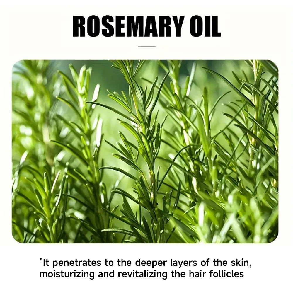 Rosemary Essential Oil Hair Gr - Hair Care Natural Products บทวิจารณ์และราคา